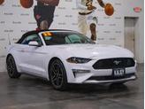Thumbnail of 2023  Ford Mustang