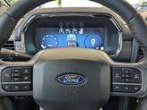Thumbnail of 2025 Blue Ford F-150