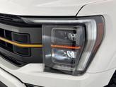 Thumbnail of 2022 White Ford F-150