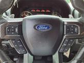 Thumbnail of 2017 Magnetic Ford F-150