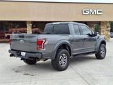 Thumbnail of 2017 Magnetic Ford F-150