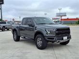 Thumbnail of 2017 Magnetic Ford F-150