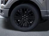 Thumbnail of 2025 Gray Ford F-150