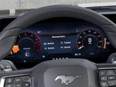 Thumbnail of 2025 Shadow Ford Mustang