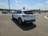 Thumbnail of 2020 Oxford White Ford Escape