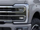 Thumbnail of 2026 Avalanche Ford F-250