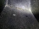 Thumbnail of 2021 Gray Tesla Model Y