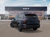 Thumbnail of 2025 Panthera Metal Kia Telluride