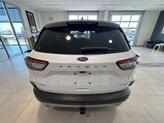 Thumbnail of 2020 Oxford White Ford Escape
