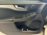 Thumbnail of 2020 Oxford White Ford Escape