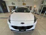 Thumbnail of 2020 Oxford White Ford Escape
