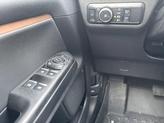Thumbnail of 2024 Tan Ford Bronco Sport