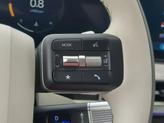 Thumbnail of 2025 Brass Hyundai SANTA FE