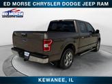 Thumbnail of 2019 Brown Ford F-150