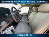 Thumbnail of 2019 Brown Ford F-150