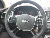 Thumbnail of 2020 Passion Red Kia Sorento