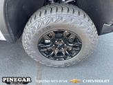 Thumbnail of 2024 EXTERIOR BARB WIRE MET 1 633D Chevrolet Silverado 1500