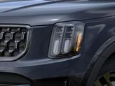 Thumbnail of 2025 Gray Kia Telluride