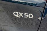 Thumbnail of 2019 Hermosa Blue INFINITI QX50