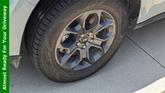 Thumbnail of 2024 Cactus Green / Gray Ford Maverick