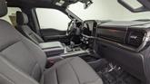 Thumbnail of 2023 Avalanche Gray Ford F-150