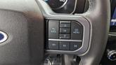 Thumbnail of 2023 Avalanche Gray Ford F-150