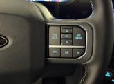 Thumbnail of 2025 Carbonized Gray Metallic Ford F-150