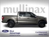 Thumbnail of 2021 Stone Gray Metallic Ford F-150