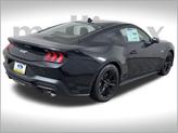 Thumbnail of 2025 Shadow Black Ford Mustang