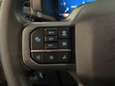 Thumbnail of 2024 Avalanche Gray Ford F-150