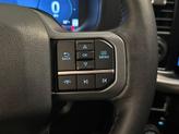 Thumbnail of 2024 Avalanche Gray Ford F-150