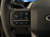 Thumbnail of 2025 Blue Ford F-250