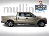 Thumbnail of 2014 Pale Adobe Metallic Ford F-150