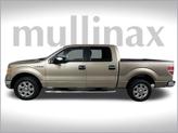 Thumbnail of 2014 Pale Adobe Metallic Ford F-150
