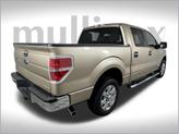 Thumbnail of 2014 Pale Adobe Metallic Ford F-150