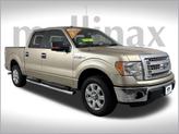 Photo of 2014 Pale Adobe Metallic Ford F-150