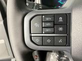 Thumbnail of 2025 Gray Metallic Ford F-150 Lightning