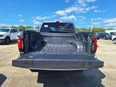 Thumbnail of 2025 Carbonized Gray Metallic Ford F-150 Lightning