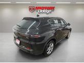 Thumbnail of 2024 8 Ball Dodge Hornet