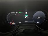 Thumbnail of 2024 8 Ball Dodge Hornet