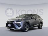 Photo of 2021 Nebula Gray Pearl Lexus NX 300