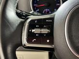 Thumbnail of 2023 Panthera Metal Kia Carnival