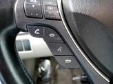 Thumbnail of 2010 Polished Metal Metallic Acura TL