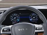 Thumbnail of 2025 Jungle Green Kia Telluride