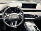 Thumbnail of 2025 Vik Black Genesis GV70