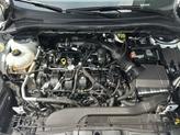 Thumbnail of 2022 STAR WHITE METALLIC TRI-COAT Ford Escape