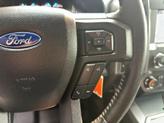 Thumbnail of 2019 MAGNETIC Ford F-150