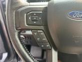 Thumbnail of 2019 MAGNETIC Ford F-150