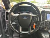 Thumbnail of 2019 MAGNETIC Ford F-150