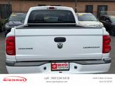 Thumbnail of 2011 Bright White Clearcoat Dodge Dakota